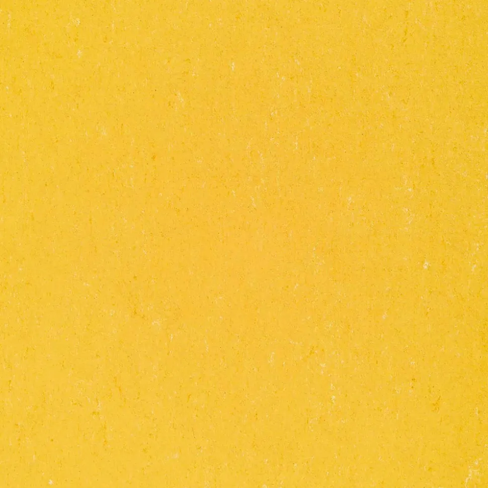 Gerflor Colorette Acoustic Plus