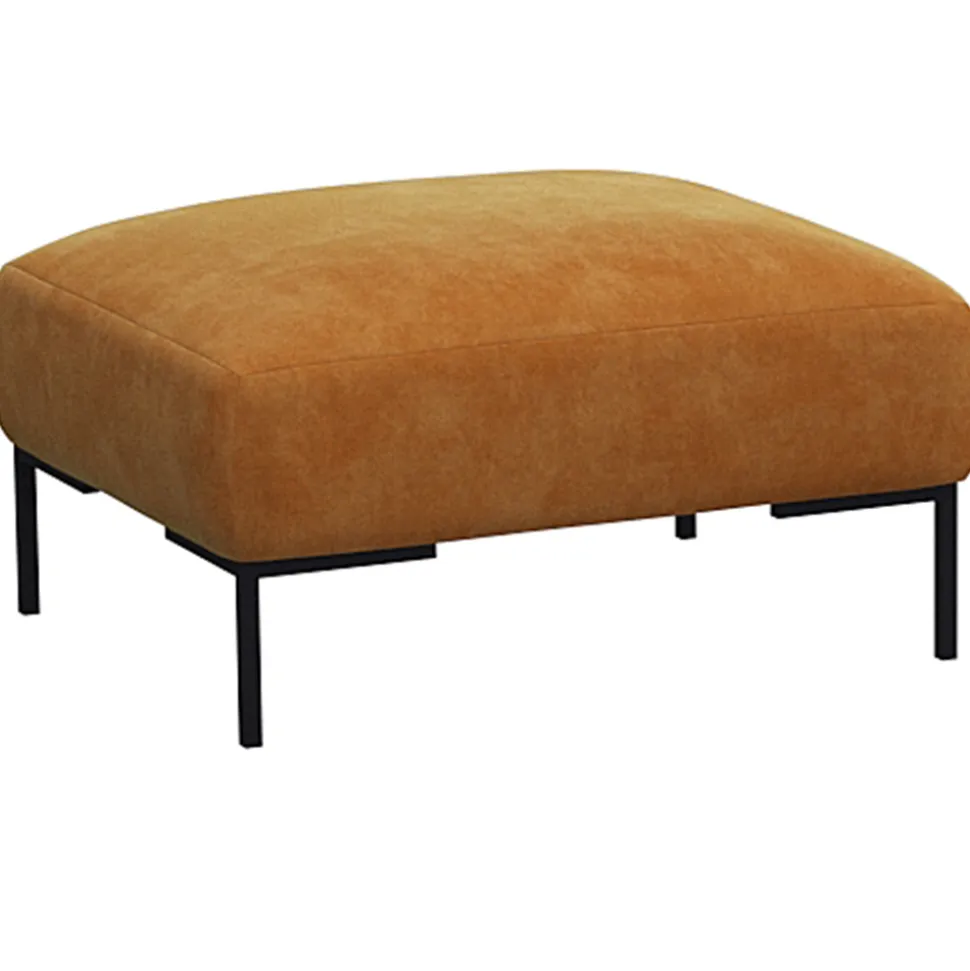 Hocker SAVA