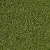 Kunstrasen Poppy Green