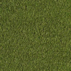 Kunstrasen Poppy Green