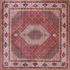 Teppich Bidjar Deluxe