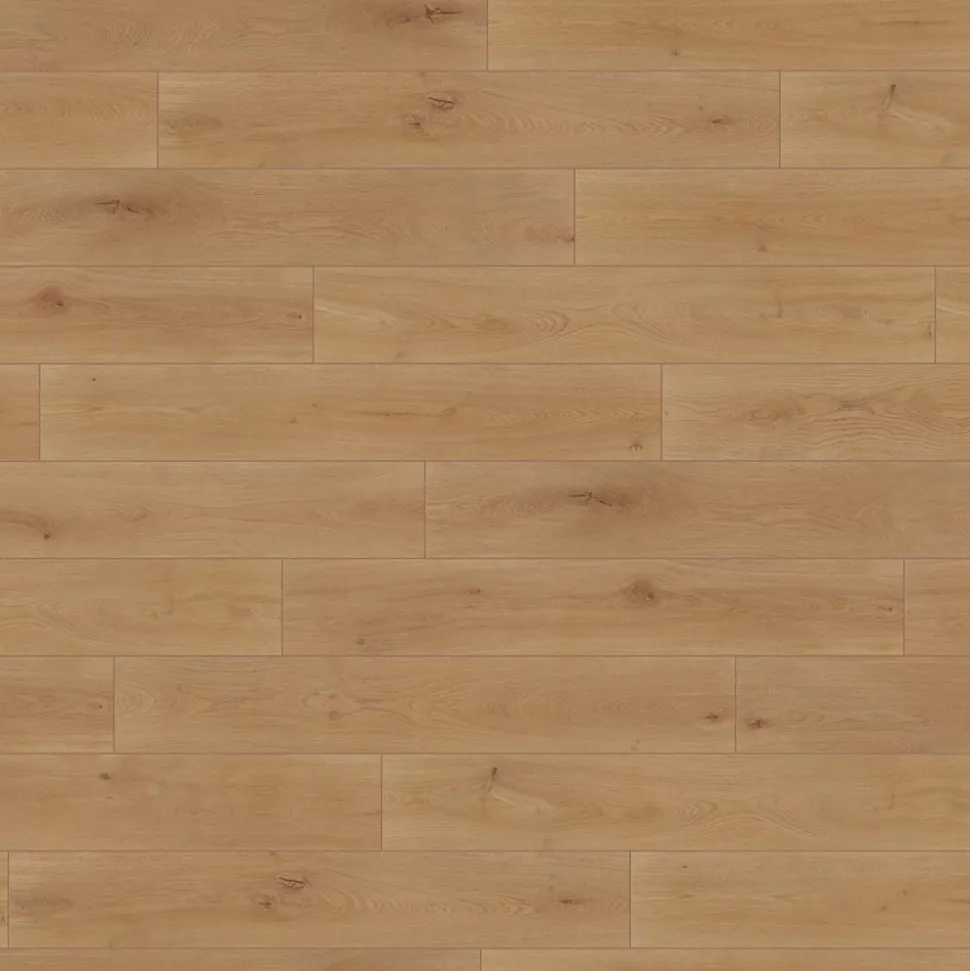 Wineo Designboden 1000 wood XL